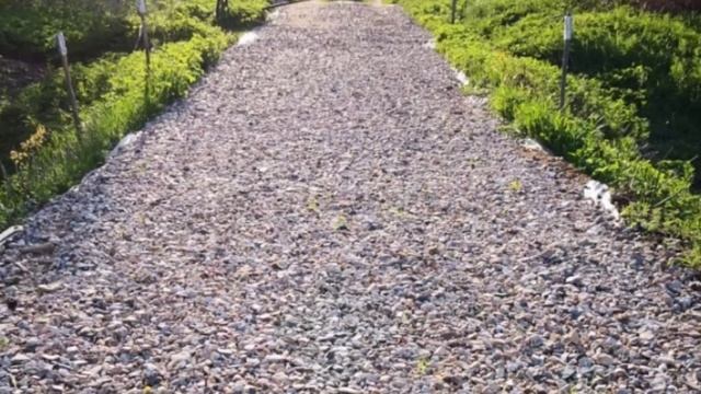 АСМР звук шагов по гравию|ASMR the sound of footsteps on gravel смотреть онлайн
