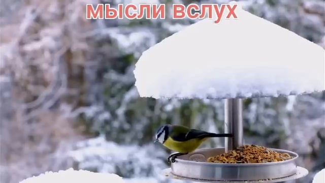 Самвел Ад.Шатунов собирал стадионы,а ты?Надя согласна, зачем оправдываться? Пора на выход с вещами. смотреть онлайн