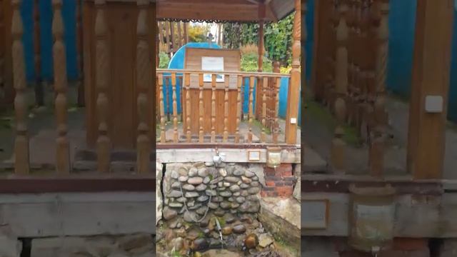 Почему нельзя материться ~ смотри до конца shorts смотреть онлайн