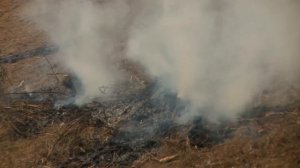 Майя. Рождение легенды - Все части - Документальный фильм