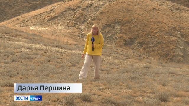 Каракурт: смертельно опасная встреча с фауной Крыма смотреть онлайн