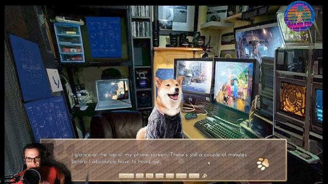 A Summer with the Shiba Inu Live Stream смотреть онлайн