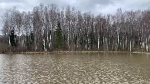 Russia Verbilki 20210426 Река Дубна на территории отеля Кантри резорт Вербилки смотреть онлайн