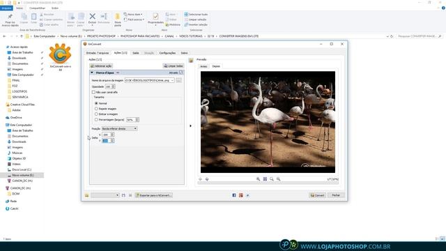 Como Converter QUALQUER Formato de Imagem em Lote смотреть онлайн