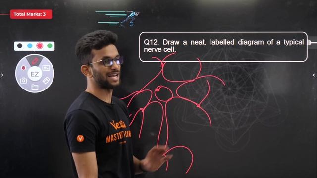 CBSE Class 10 Full Biology Crash Course | Biology Marathon Revision Score 100% @VedantuClass910 смотреть онлайн