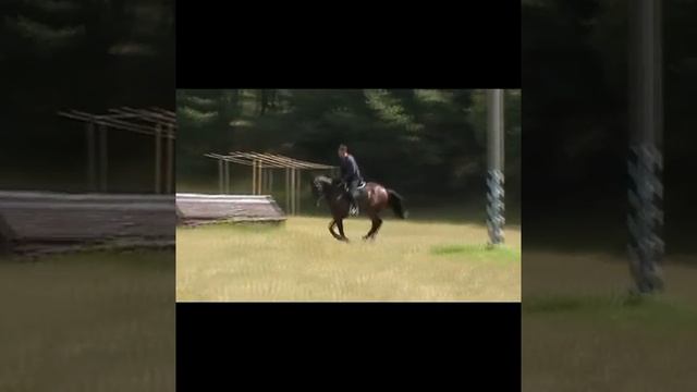 ДАР. Лошадь на продажу смотреть онлайн