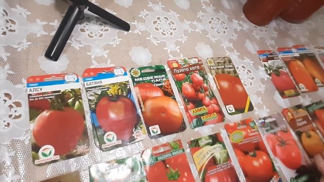 УРОЖАЙНЫЕ ТОМАТЫ СОРТА для Открытого грунта и теплиц сезон 2022 смотреть онлайн