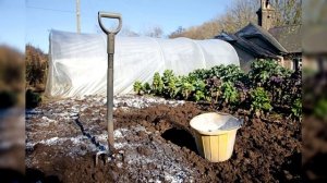 КАК ИЗВЕСТИ ПРОВОЛОЧНИКА РАЗ И НАВСЕГДА