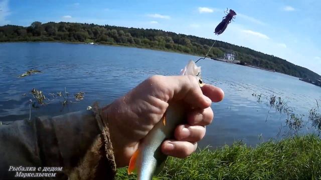 Рыбалка на "отводной поводок" с берега. Ока, Таруса. смотреть онлайн