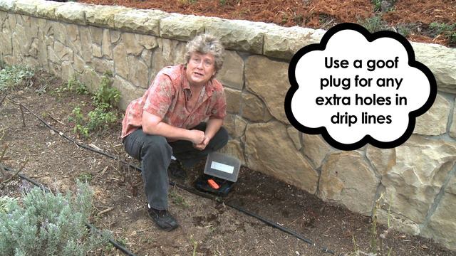 How to Check your Drip System for Leaks смотреть онлайн
