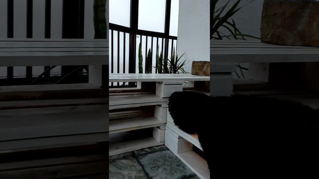 обустройство балкона своими руками, бюджетный вариант смотреть онлайн