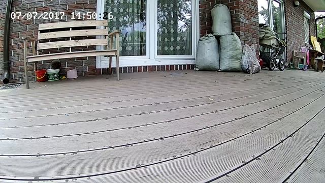 IP камера Novicam NP200F смотреть онлайн