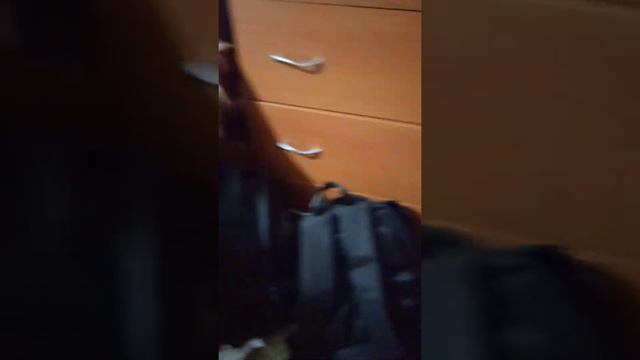 ОБОСРАЛСЯ ПОДПИСАЛСЯ И ЛАЙКНУЛ смотреть онлайн