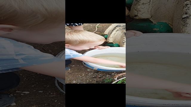 первая рыбалка