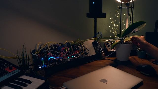 Plant Music - Connection ( Orchid ) [ Performance // Ambient // Modular ] смотреть онлайн