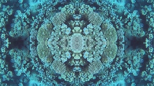 Экстравагантный яркий модник Ринекант Пикассо. Рас Назрани. Отель Melton, 12.2019 смотреть онлайн