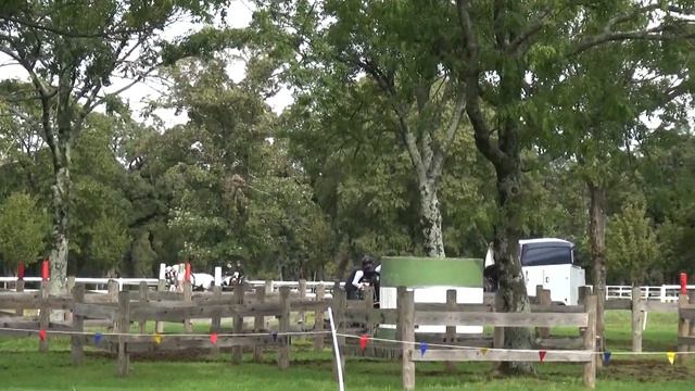 Zoltán JUHÁSZ (HUN) - CAI***, H2, Lipica (Slovenia), marathon driving, obstacle Nr. 6, 01.10.2022 смотреть онлайн