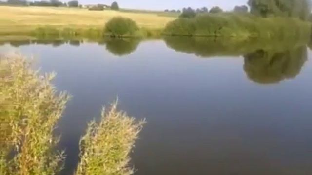 Nature of moldova 2 смотреть онлайн
