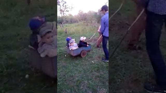 Езда на карете! смотреть онлайн