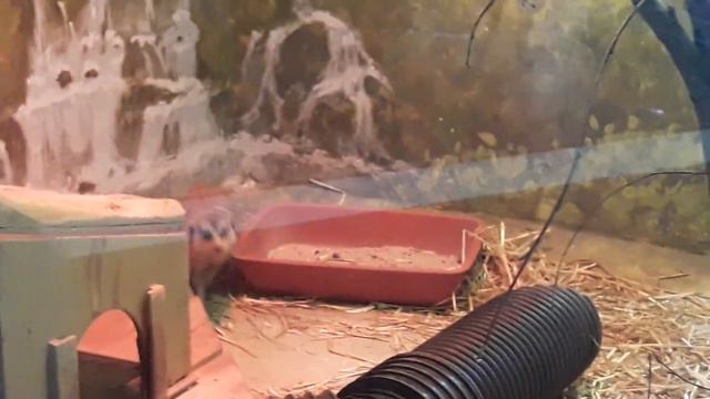 Зоопарк 2023 Екатеринбург (3) смотреть онлайн