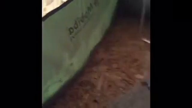 Знакомство с парабомбой, от Мобиба смотреть онлайн