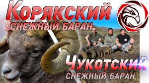 ГОРНАЯ ОХОТА НА КОРЯКСКОГО И ЧУКОТСКОГО БАРАНА