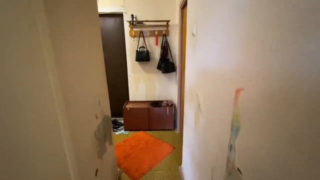 Однокомнатная квартира в ВАО Вешняки смотреть онлайн