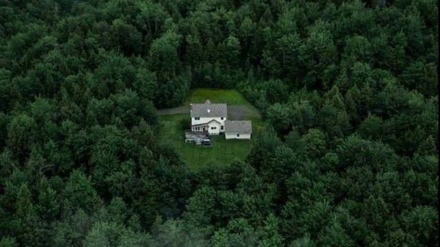 Немое Бешенство / Silent Madness