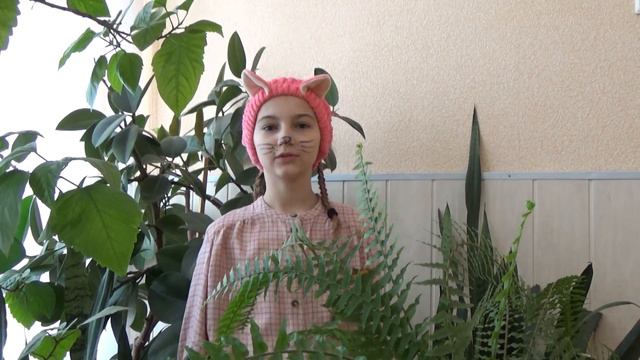 «Гуманне ставлення до тварин» 5 в смотреть онлайн