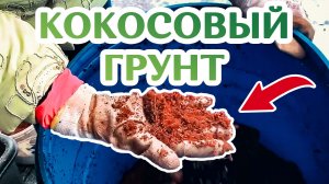 Как Сделать Идеальный Грунт Для Адениумов!