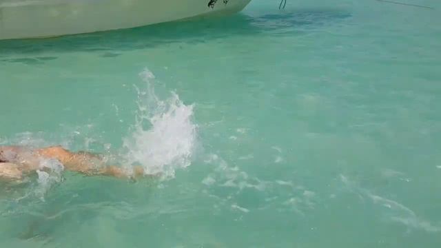 Путешествие в Доминикану в феврале 2020. Латинская Америка. остров Гаити. Карибы. Punta Cana. Bavar смотреть онлайн