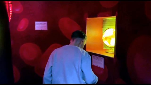 Музей "Внутри человека" г. Москва смотреть онлайн