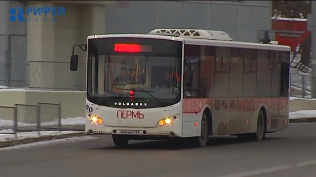 Жителям Мотовилихинского района представили проект новой маршрутной сети смотреть онлайн
