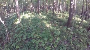 Углы разворота лопастей и эргономика