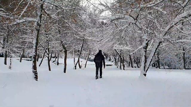 Winter hiking, Ifrane Morocco смотреть онлайн