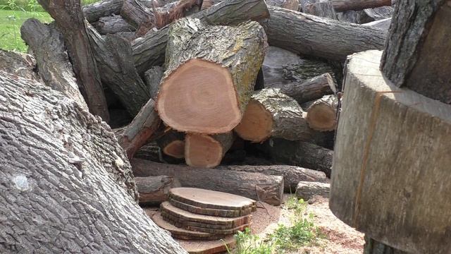 NOS Stihl 440 arctic vs 462 смотреть онлайн