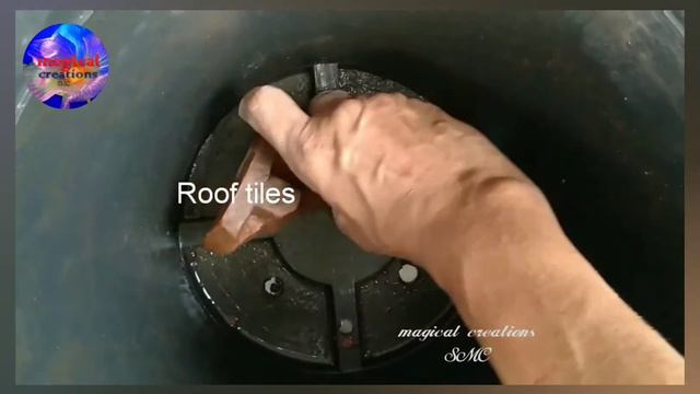 How To Maintain PURPLE Anturium Plants