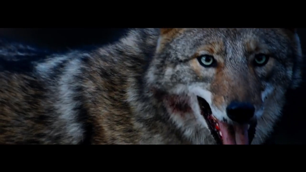 Toyota Land Cruiser 200 - Что такое роскошь? смотреть онлайн