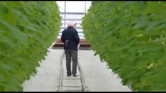 01 НОВОСТИ ВЕРХНЕЙ ПЫШМЫ 150216 смотреть онлайн