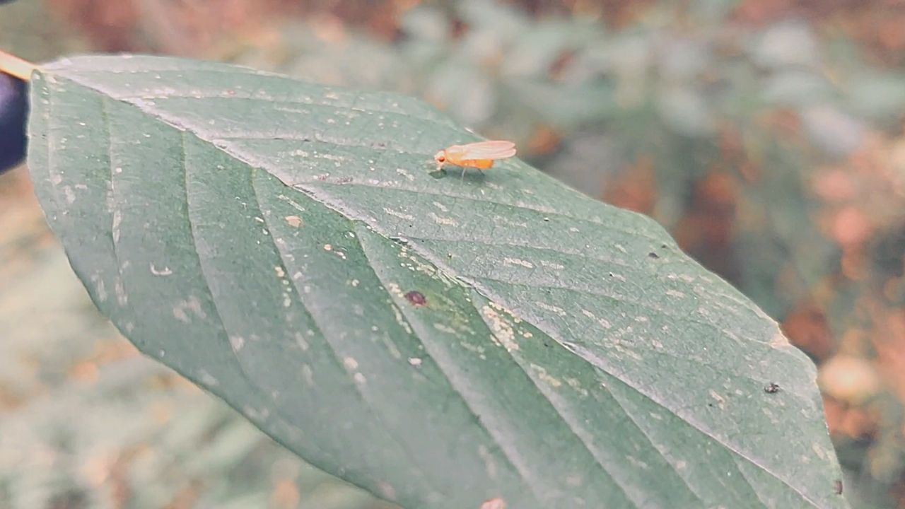 Что можно увидеть, если начать замечать смотреть онлайн