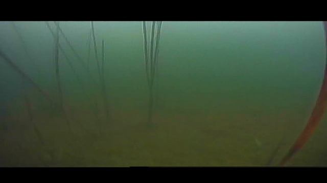 04.12.2022 Озеро Сугояк. Жерлицы. / Lake Sugoyak. смотреть онлайн