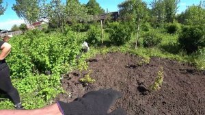 КУПИЛ ДОМИК в ДЕРЕВНЕ // Подкормка Голубики Флоровитом (florovit)