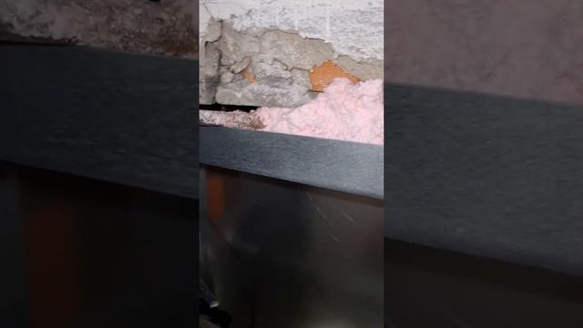 Заделка противопожарной пеной #апс #соуэ #болид #shorts смотреть онлайн