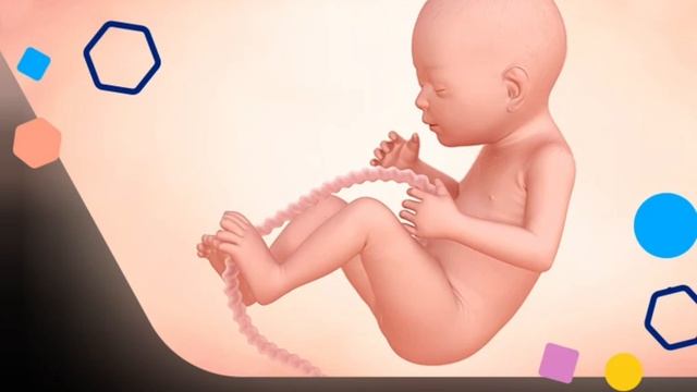 Java e 23 e Shtatzanise. Cfare pritet te ndodhe gjate kesaj jave? смотреть онлайн