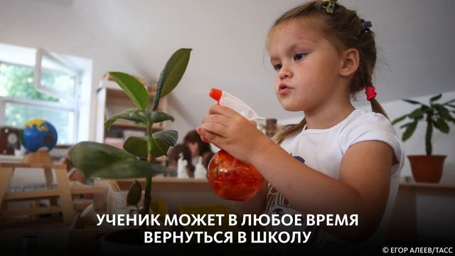 СЕМЕЙНОЕ ОБРАЗОВАНИЕ: ЧТО ЭТО ТАКОЕ? смотреть онлайн