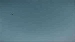 Просто Казань🏗 Дикий пляж в центре Казани.