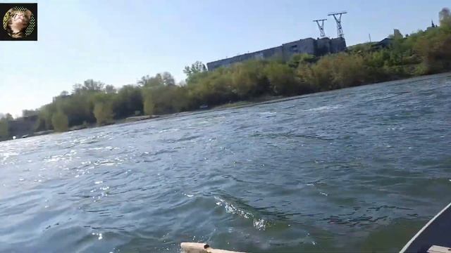 кот ленивый. Дача, баня, шашлыки, купание))) смотреть онлайн