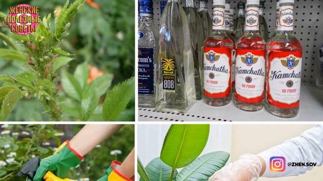 СОСЕДКА ПОСТОЯННО ПРИ СТИРКЕ ДОБАВЛЯЕТ АСПИРИН! УЗНАЛА, ЗАЧЕМ ОНА ЭТО ДЕЛАЕТ, И ТЕПЕРЬ ДЕЛАЮ ТАКЖЕ! смотреть онлайн