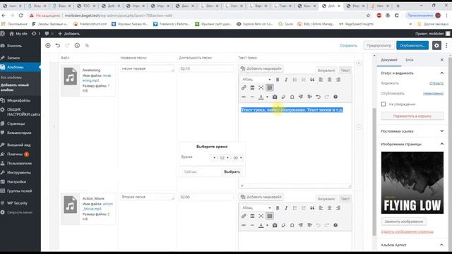 Сайт-портфолио Музыкант,админ часть смотреть онлайн