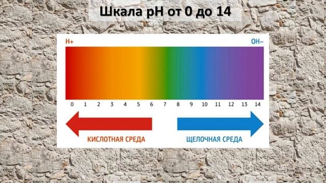Водородный показатель | Общая экология смотреть онлайн